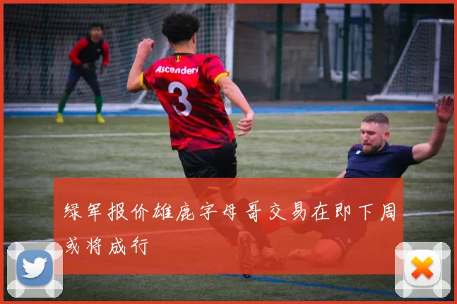 绿军报价雄鹿字母哥交易在即下周或将成行