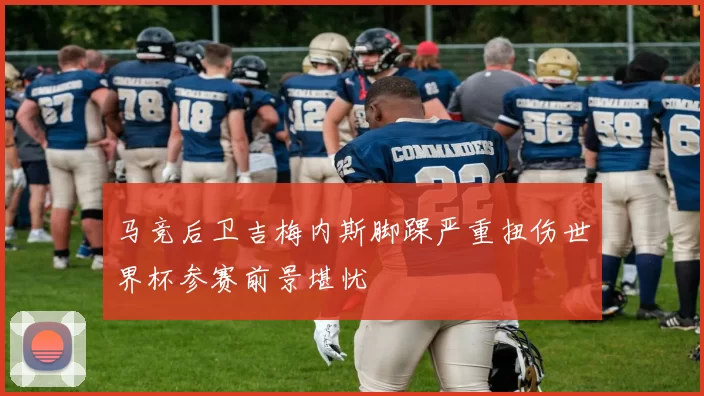 马竞后卫吉梅内斯脚踝严重扭伤世界杯参赛前景堪忧