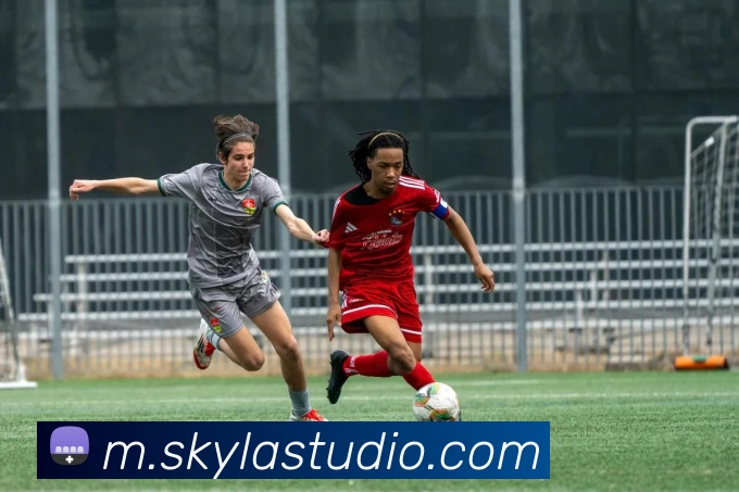 博鱼网页版登录入口登录入口APP 封面图